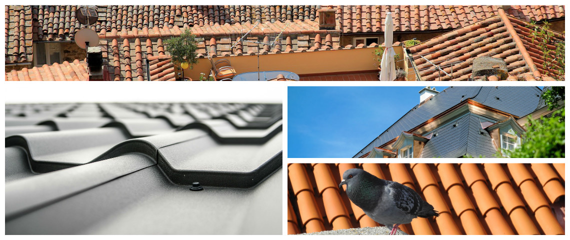 Expertos y empresas del saneamiento de tejados y cubiertas en La Gomera