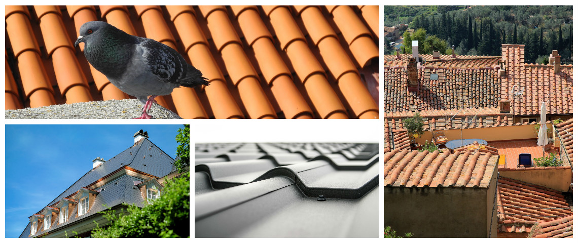 Empresas y expertos del saneamiento de tejados y cubiertas