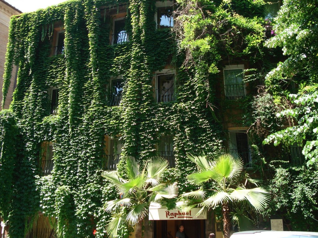 fachada enredadera