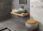 Baño en tonos grises y sanitarios gris granito