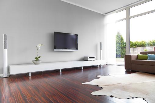 Salón minimalista con alfombra de piel