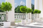 Terraza clásica con barandilla de hierro forjado
